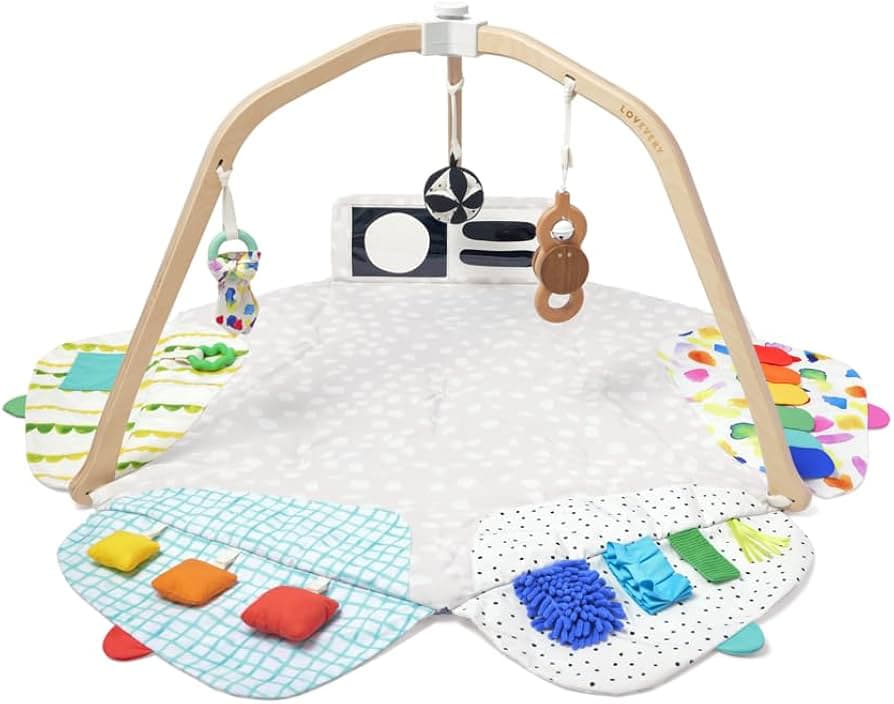 The Play Gym