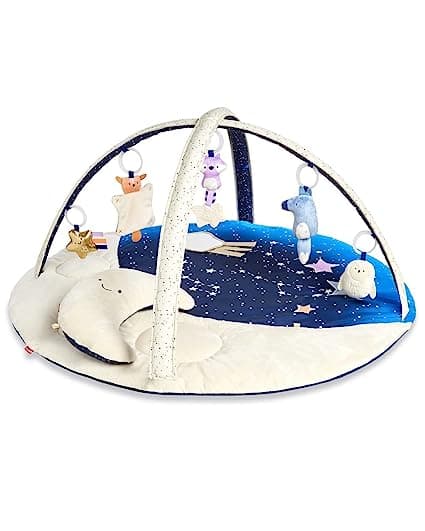 Baby Play Gym