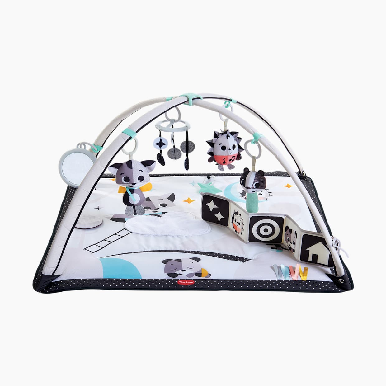 Gymini Deluxe