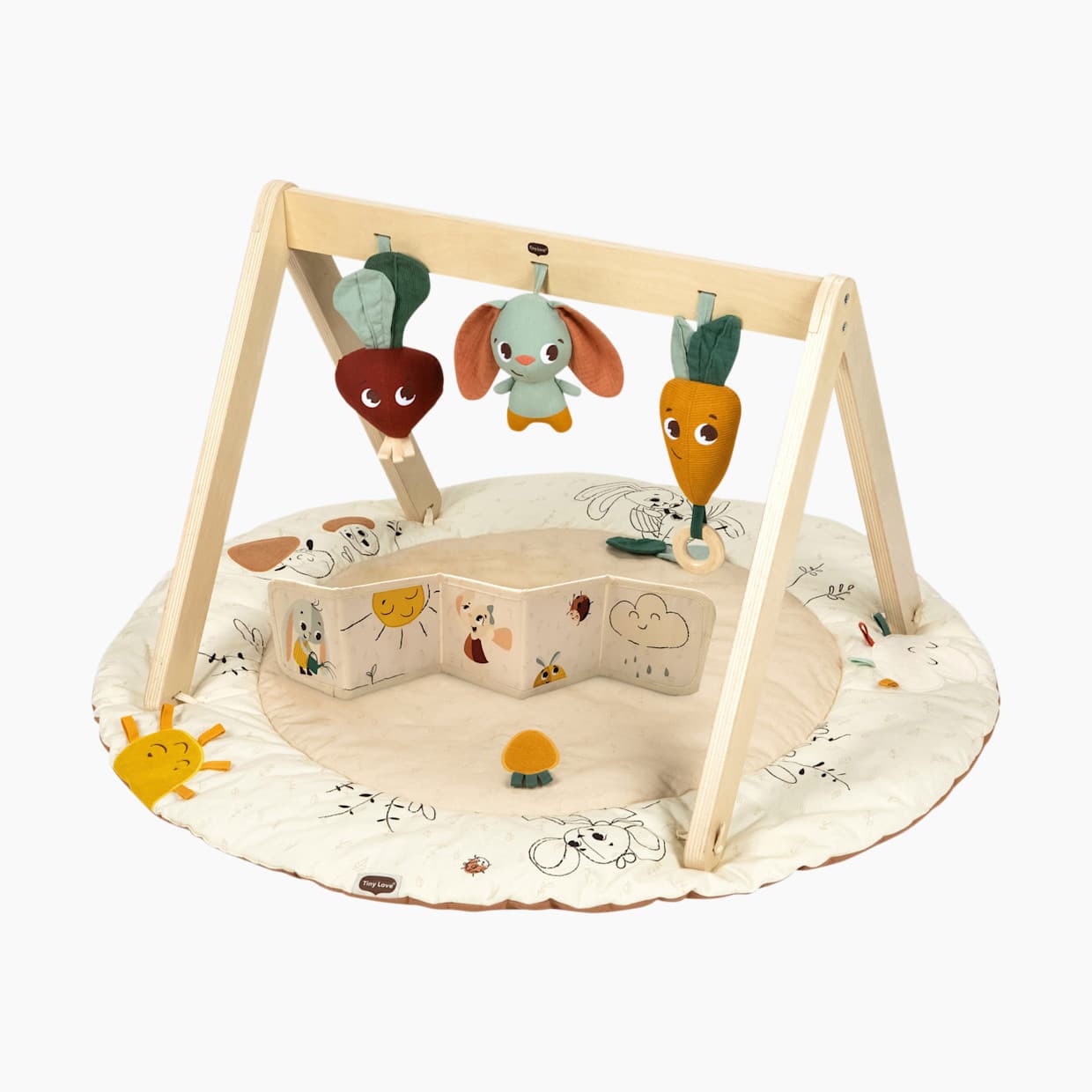 Wooden Gymini