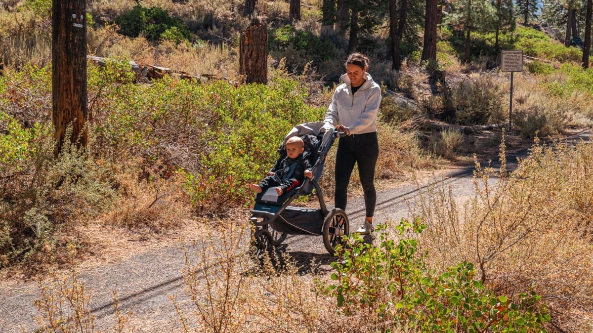 UPPAbaby Ridge