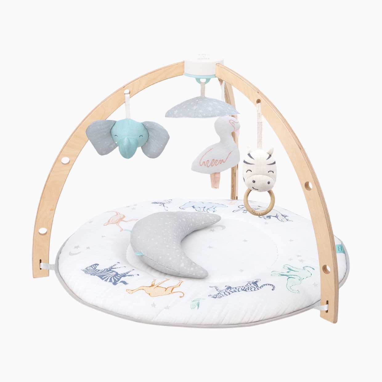 Play + Discover Activity Gym