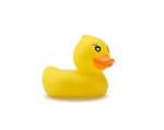 Baby Thermometer Baby Bath Thermometer for Infant Bath Tub
