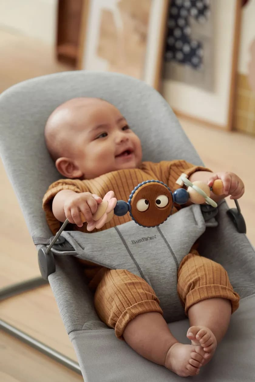 Toy for Bouncer