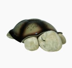 Twilight Turtle Constellation Night Light