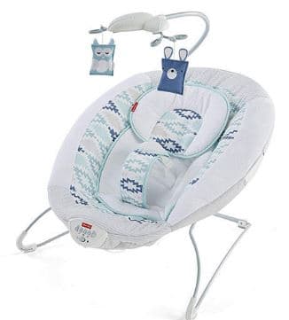 WOODSY WONDERS DELUXE BOUNCER