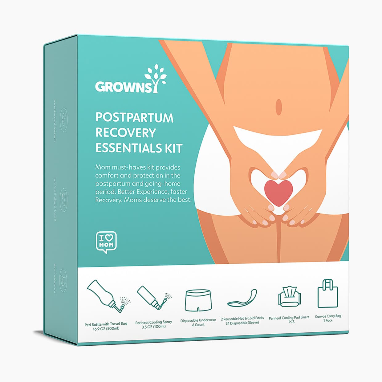 All-in-One Postpartum Essentials Kit