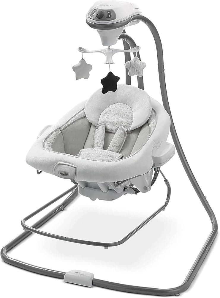 DuetConnect LX Swing and Bouncer