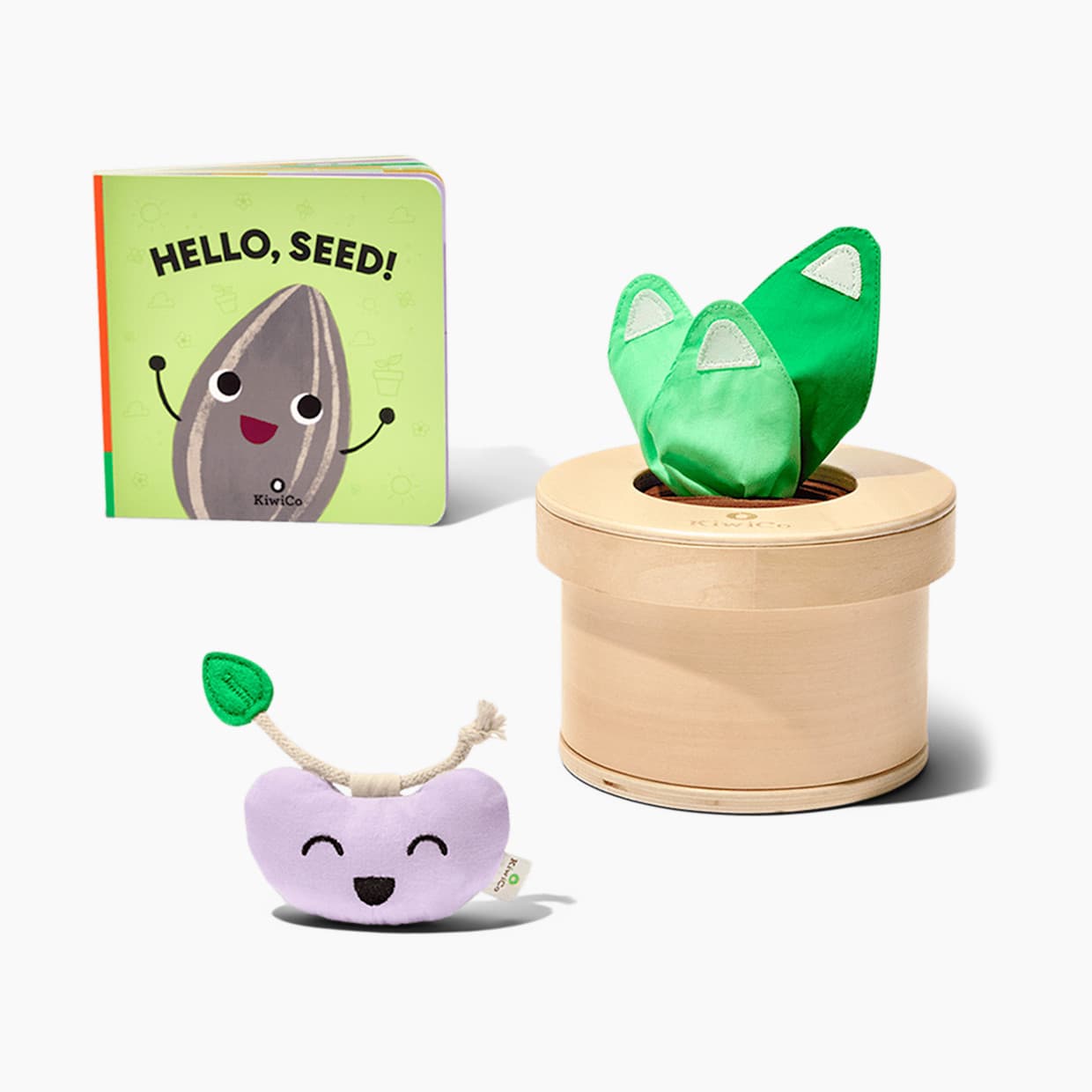 Growing Seeds Tissue Box Toy