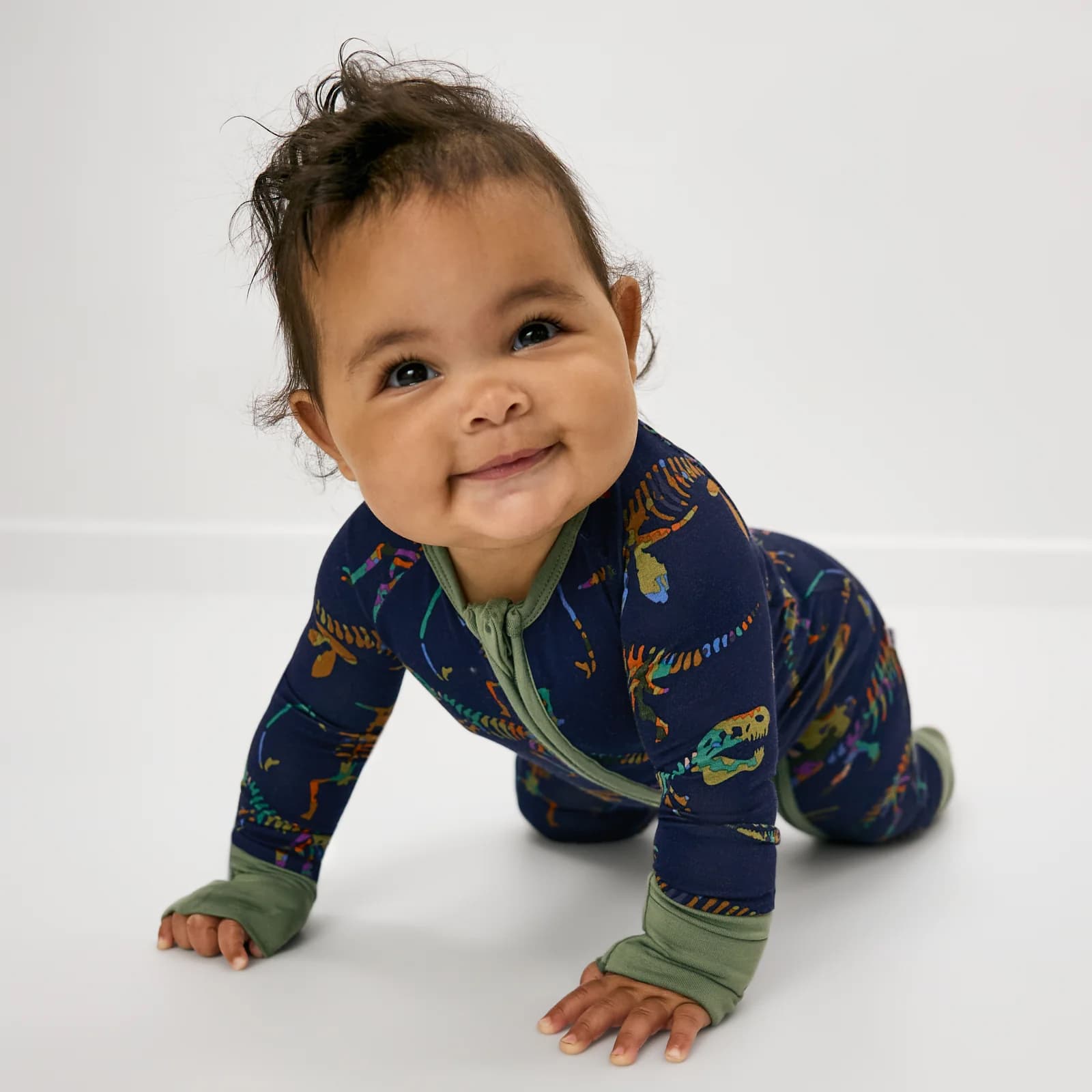 Fossil Quest Zippy