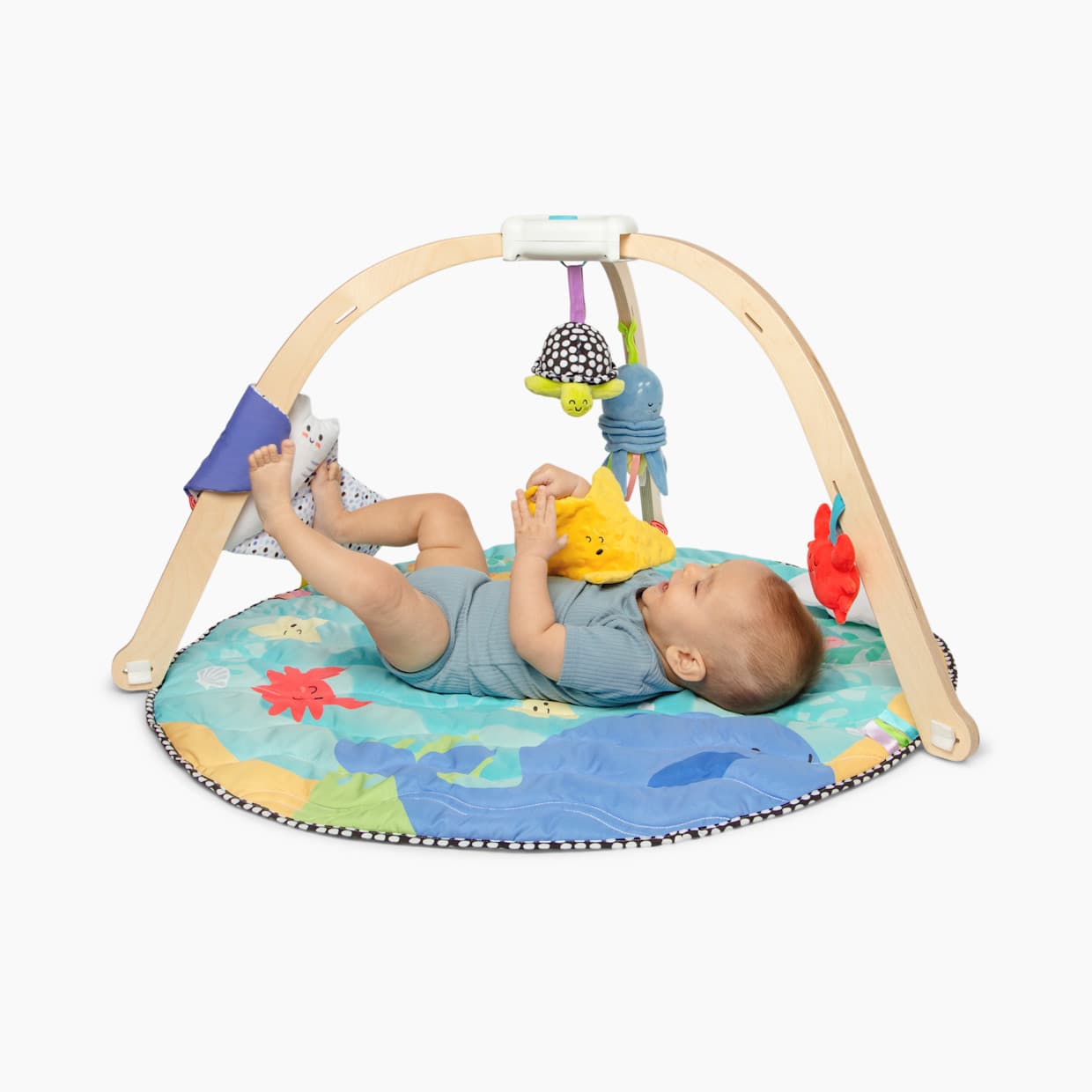 Ocean Easy-Fold Play Gym