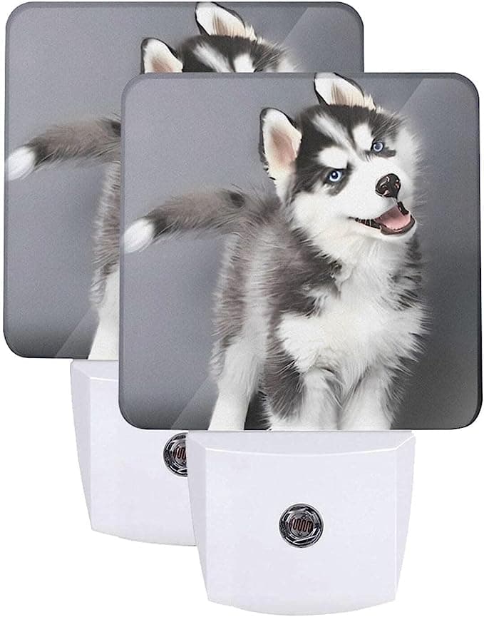 Cute Husky Dog LED Night