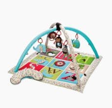 Alphabet Zoo Activity Gym
