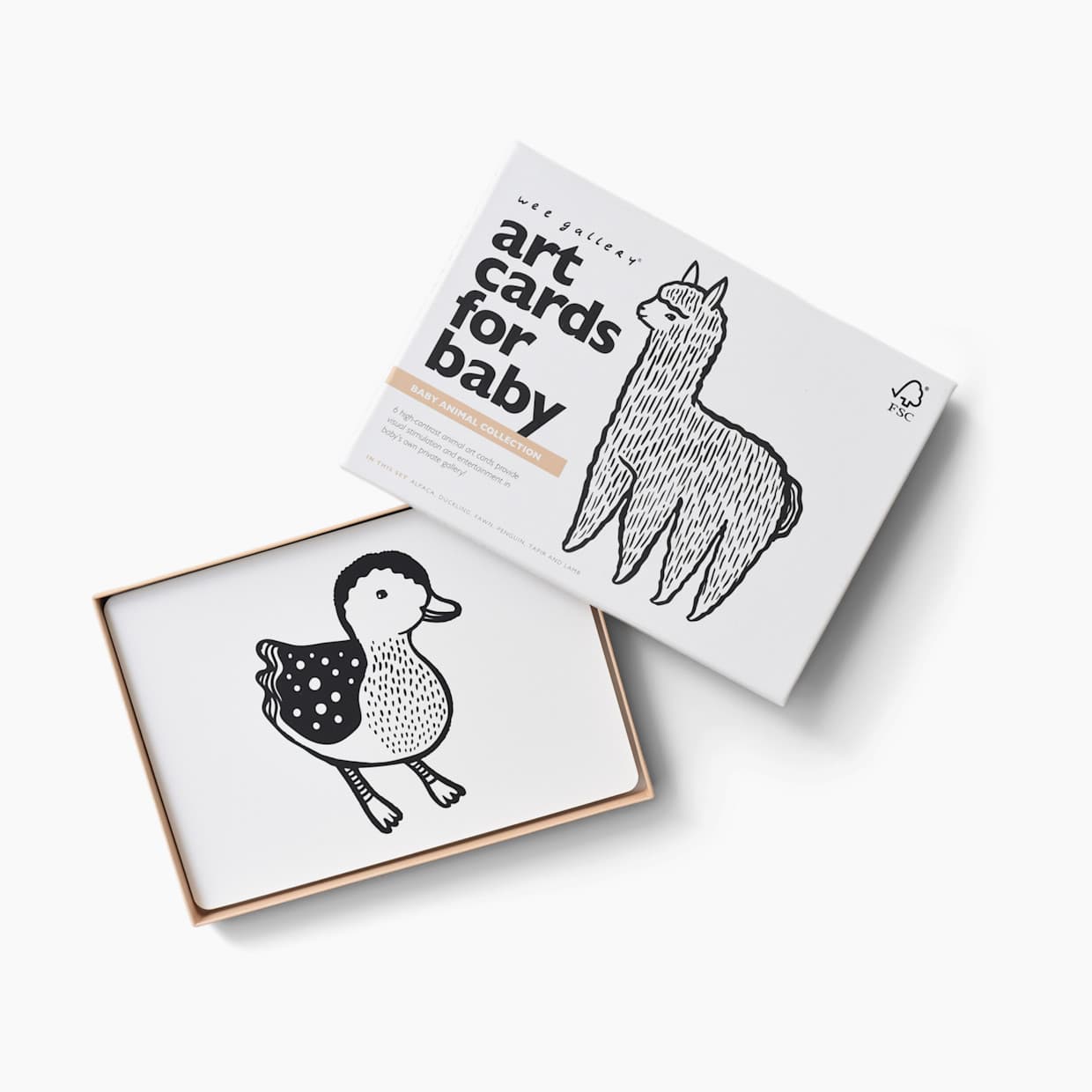 Art Cards for Baby